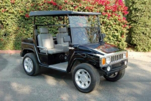affordable golf cart rental, golf cart rent seattle